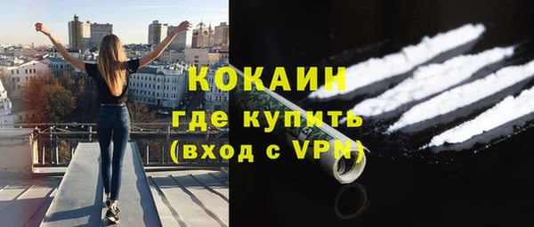 шишки Арсеньев