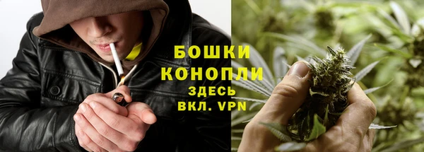 шишки Балабаново
